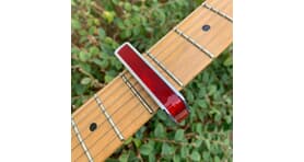 Thalia Shell Collection Capo Red Angel Wing Chrome