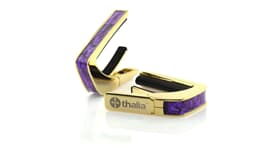 Thalia Shell Collection Capo Purple Paua Gold