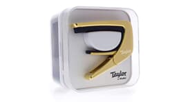 Thalia Taylor by THALIA 800 Series Element Gold