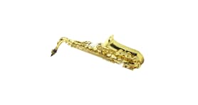 Alysee A-808L Alto Saxophone